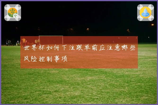 世界杯如何下注跟单前应注意哪些风险控制事项