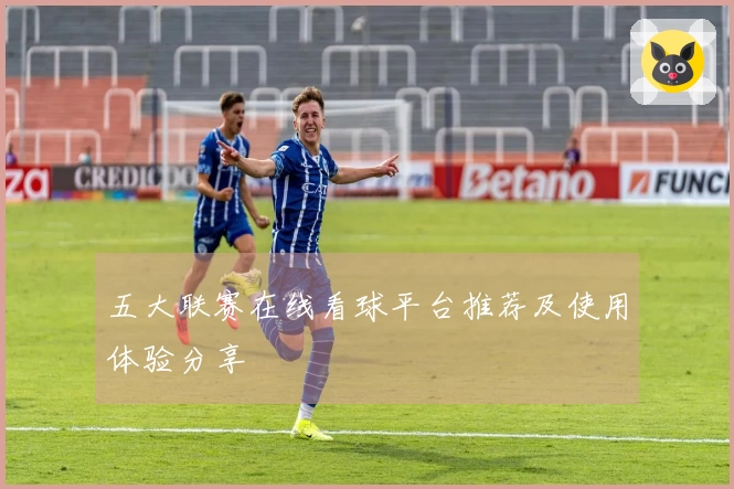 五大联赛在线看球平台推荐及使用体验分享