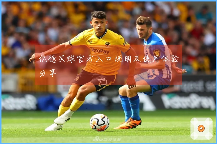 亿德买球官方入口说明及使用体验分享