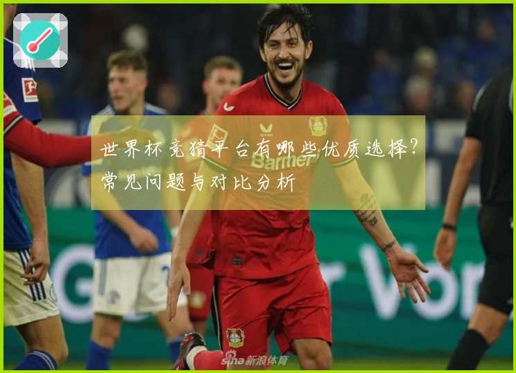 世界杯竞猜平台有哪些优质选择？常见问题与对比分析