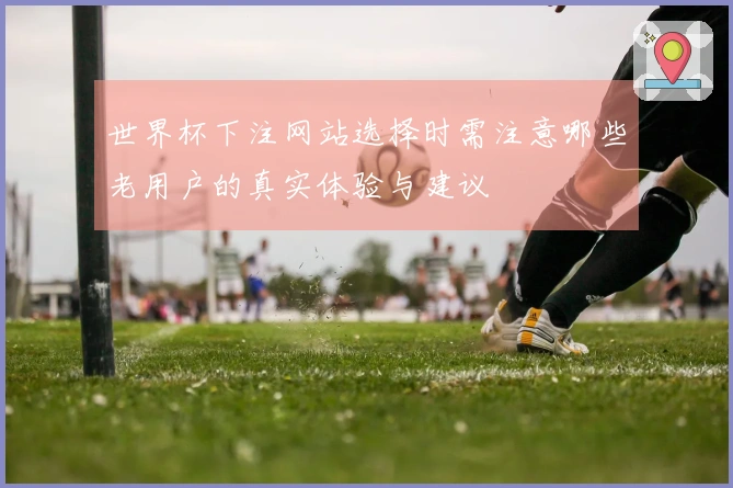 世界杯下注网站选择时需注意哪些老用户的真实体验与建议