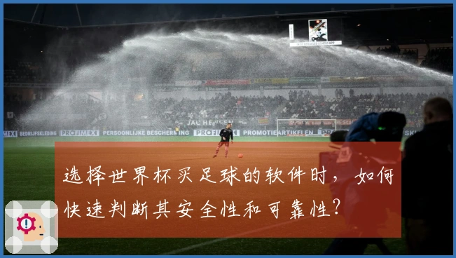 选择世界杯买足球的软件时，如何快速判断其安全性和可靠性？