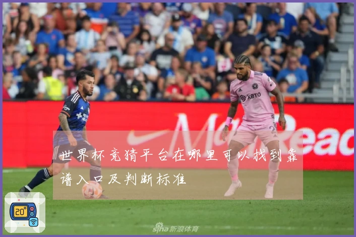 世界杯竞猜平台在哪里可以找到靠谱入口及判断标准