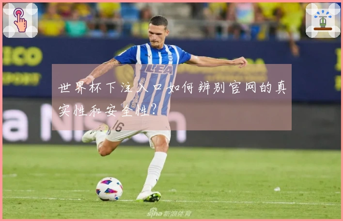 世界杯下注入口如何辨别官网的真实性和安全性？