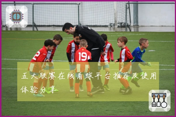 五大联赛在线看球平台推荐及使用体验分享