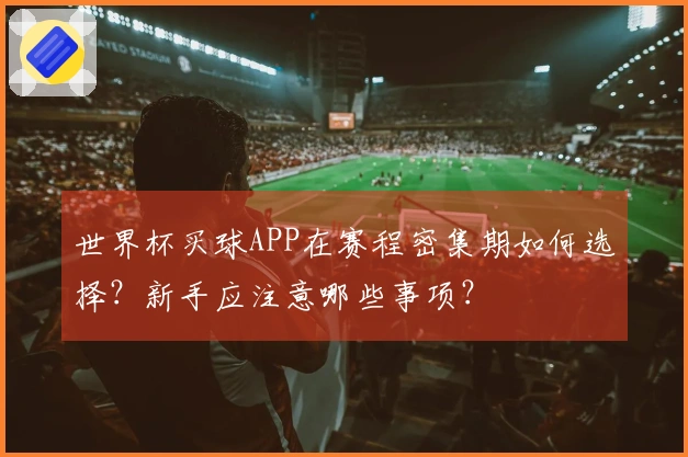世界杯买球APP在赛程密集期如何选择？新手应注意哪些事项？