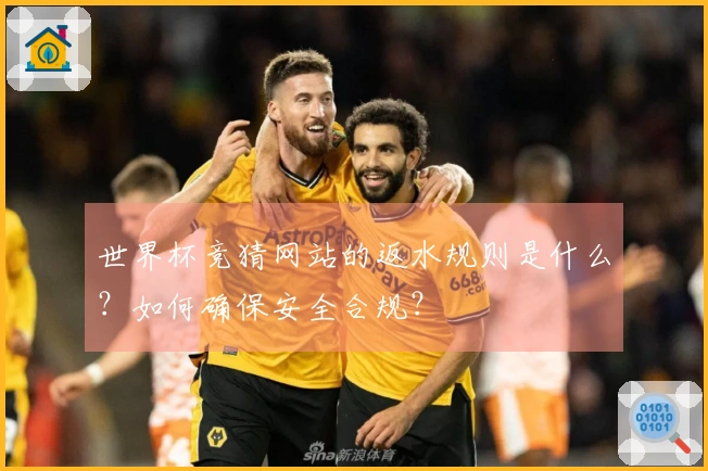 世界杯竞猜网站的返水规则是什么？如何确保安全合规？