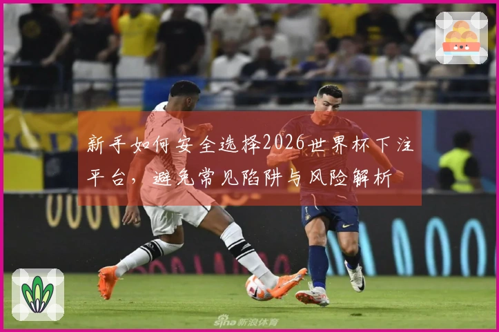 新手如何安全选择2026世界杯下注平台，避免常见陷阱与风险解析
