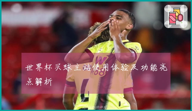 世界杯买球主站使用体验及功能亮点解析