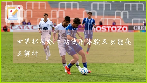 世界杯买球主站使用体验及功能亮点解析
