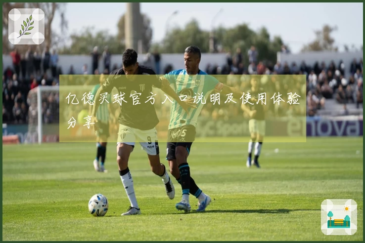 亿德买球官方入口说明及使用体验分享