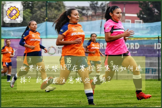 世界杯买球APP在赛程密集期如何选择?新手应注意哪些事项?