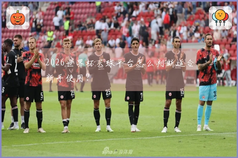 2026世界杯买球平台怎么判断适合新手使用？