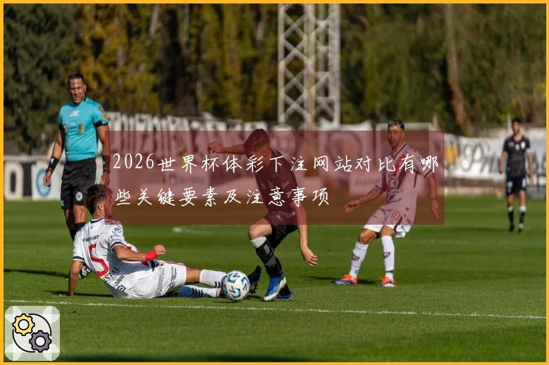 2026世界杯体彩下注网站对比有哪些关键要素及注意事项