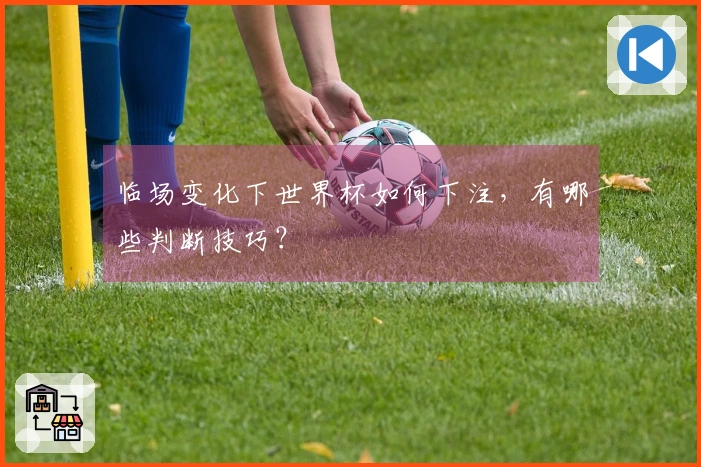 临场变化下世界杯如何下注，有哪些判断技巧？