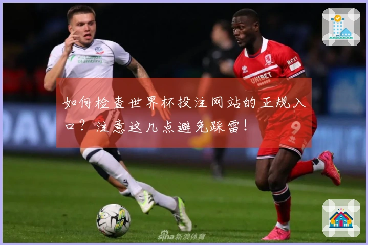 如何检查世界杯投注网站的正规入口？注意这几点避免踩雷！
