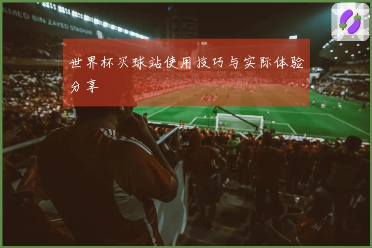 世界杯买球站使用技巧与实际体验分享