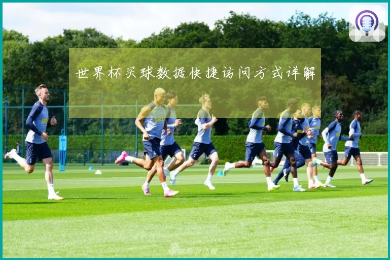 世界杯买球数据快捷访问方式详解