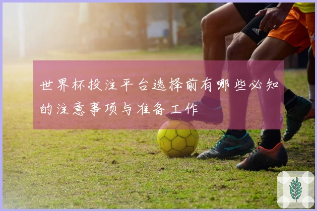 世界杯投注平台选择前有哪些必知的注意事项与准备工作