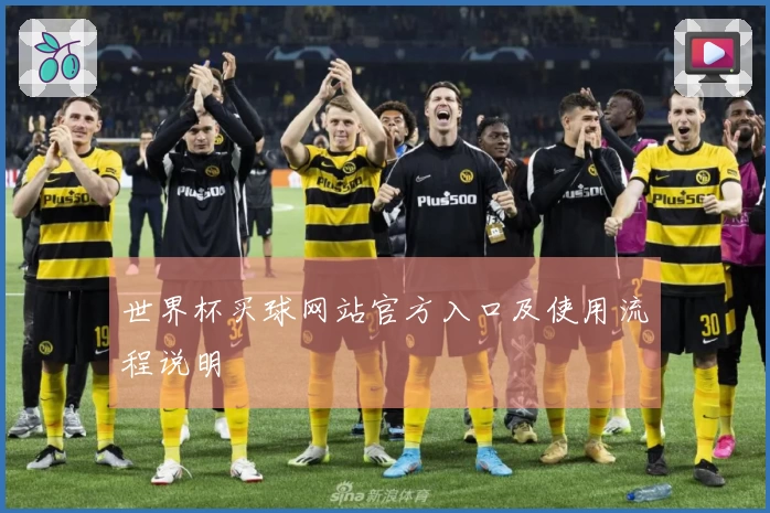 世界杯买球网站官方入口及使用流程说明