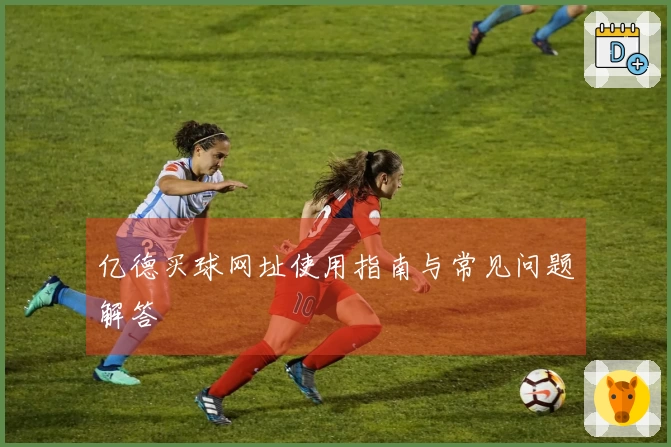 亿德买球网址使用指南与常见问题解答