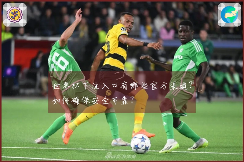 世界杯下注入口有哪些官方渠道?如何确保安全可靠?