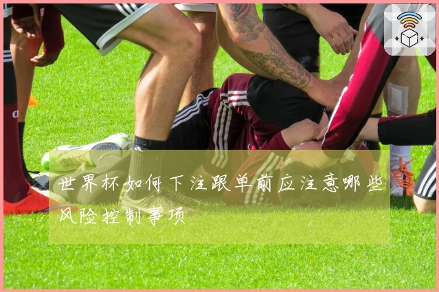 世界杯如何下注跟单前应注意哪些风险控制事项