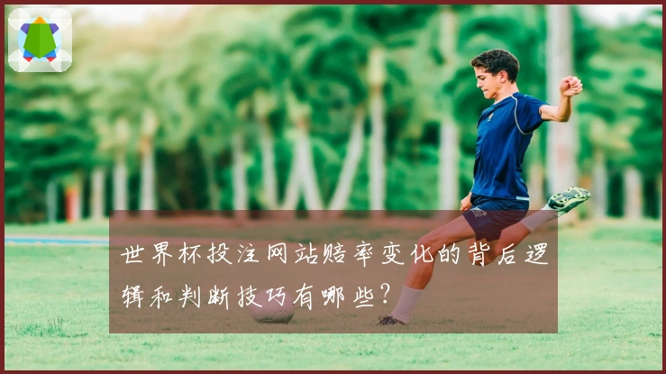 世界杯投注网站赔率变化的背后逻辑和判断技巧有哪些？