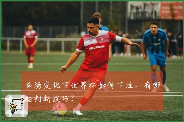 临场变化下世界杯如何下注，有哪些判断技巧？